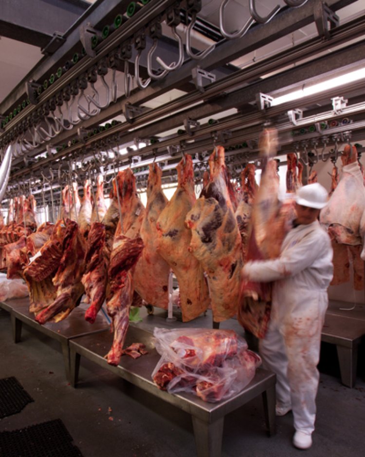Por qué los precios de la carne seguirán en alza