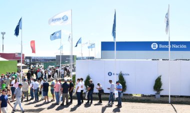 El Banco Nación lanzó créditos a tasa 0 en dólares para la compra de maquinaria agrícola