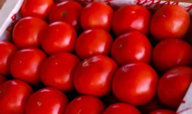 Feria y Mercado de Abasto: buenos precios y la mejor calidad