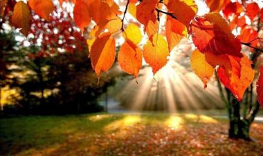 San Juan tendrá un otoño mas caluroso de lo normal