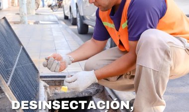 Desinsectación, desratización y educación ambiental: operativo del 30 de marzo al 1 de abril