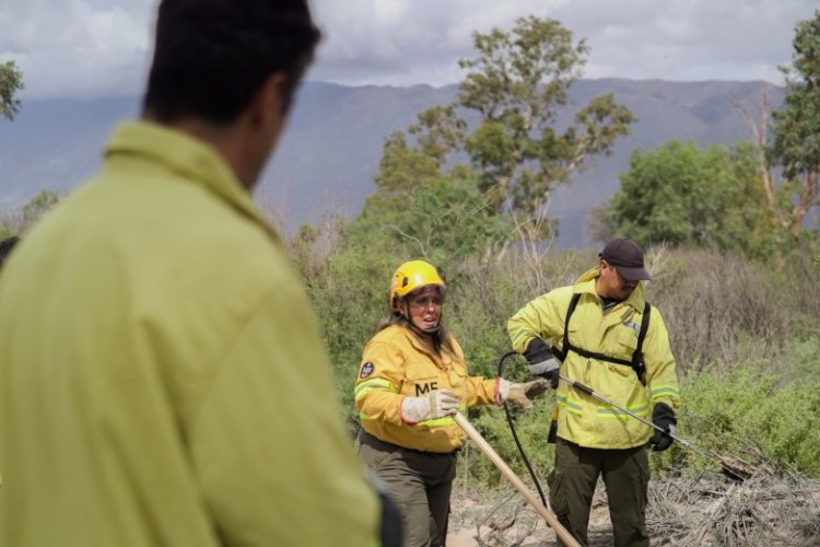 Ambiente lanza un nuevo programa de capacitación sobre prevención de incendios forestales