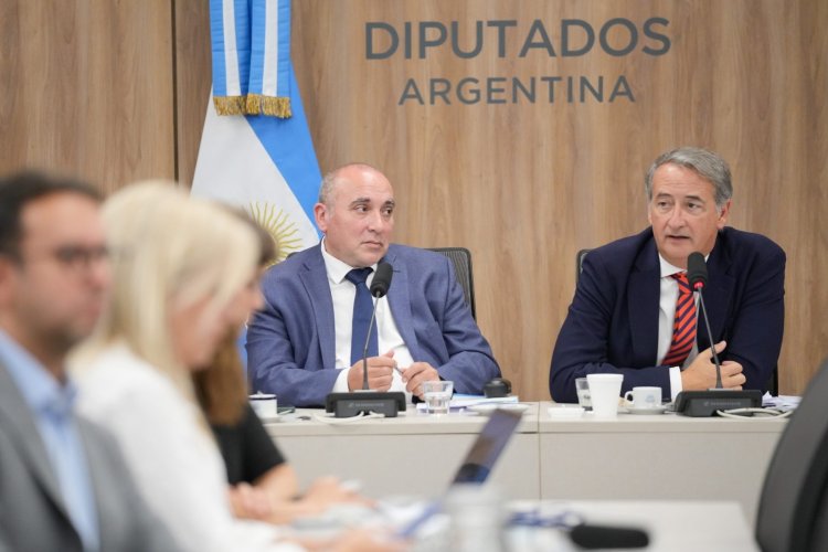 Audiencias por la reforma de la Ley de Glaciares: comenzó la primera jornada con 200 oradores presenciales