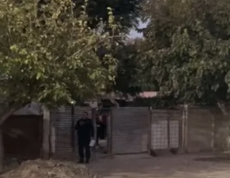 En Caucete falleció un hombre al caer de un árbol