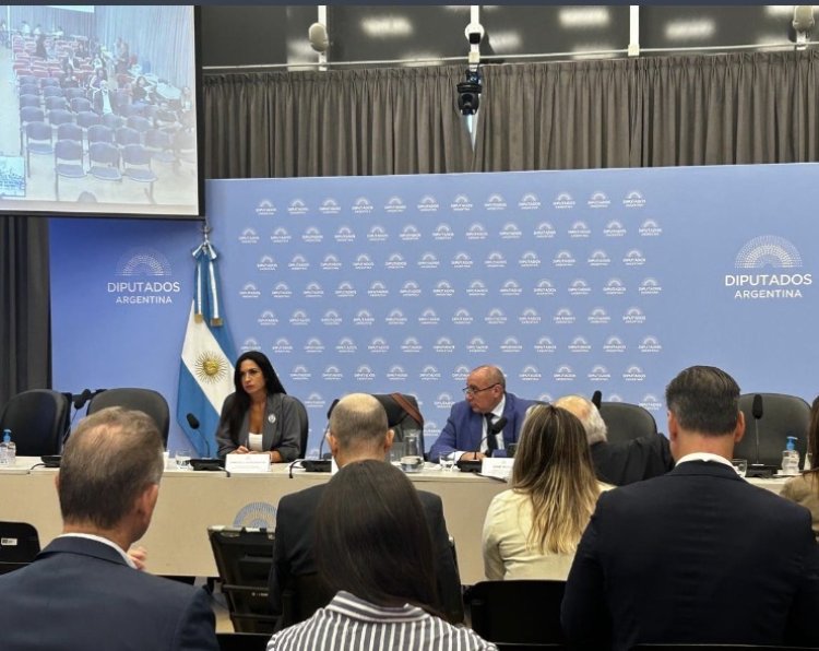 Audiencia pública por la reforma de la ley de Glaciares: segunda jornada con 200 oradores virtuales