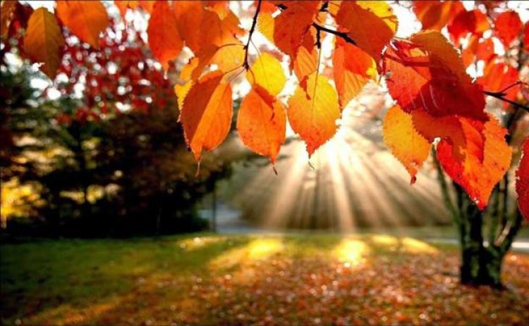San Juan tendrá un otoño mas caluroso de lo normal
