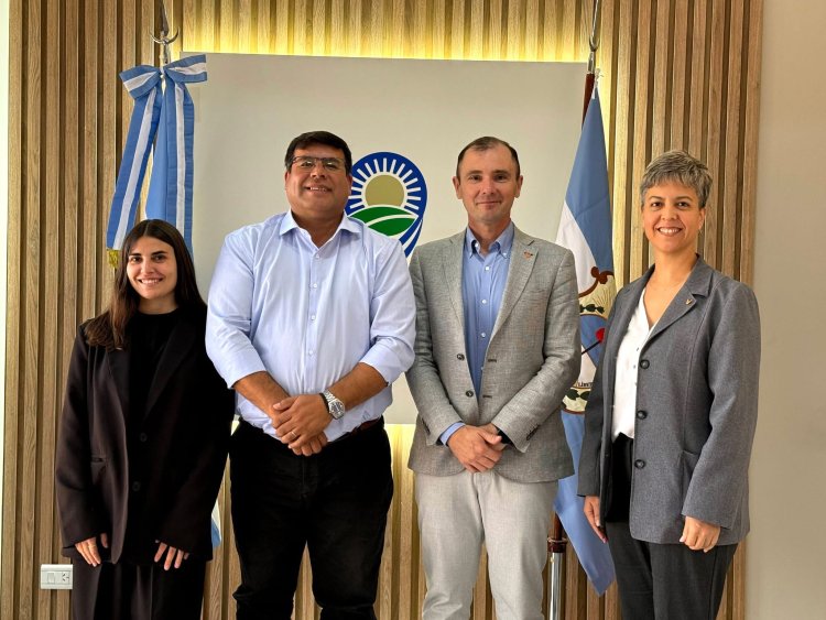 Avanzan en un plan de trabajo para mejorar el servicio eléctrico en 9 de Julio