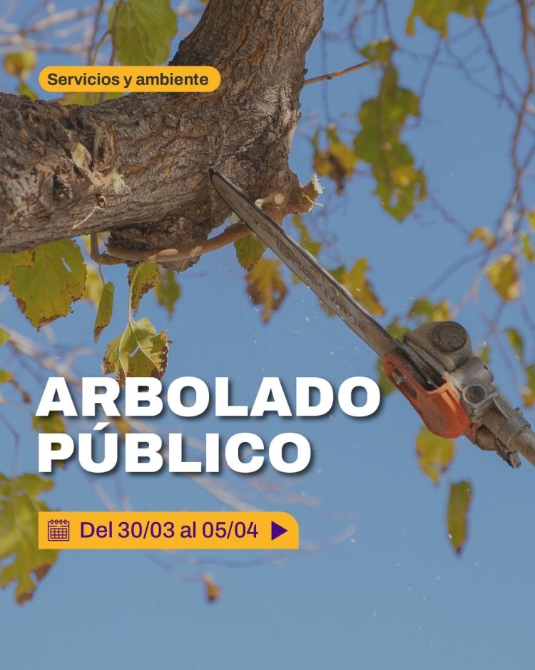 Cronograma de tareas del 30 de marzo al 5 de abril