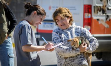 Ambiente brindará esterilización y vacunación gratuita en Rivadavia y Pocito