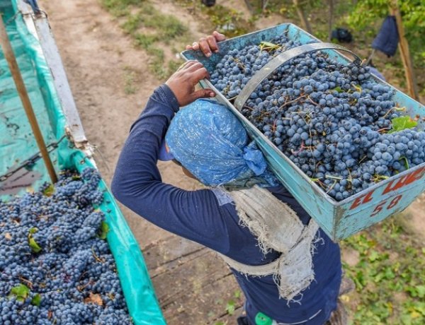 Fiduciaria San Juan otorgó $11.327 millones en créditos en dos años