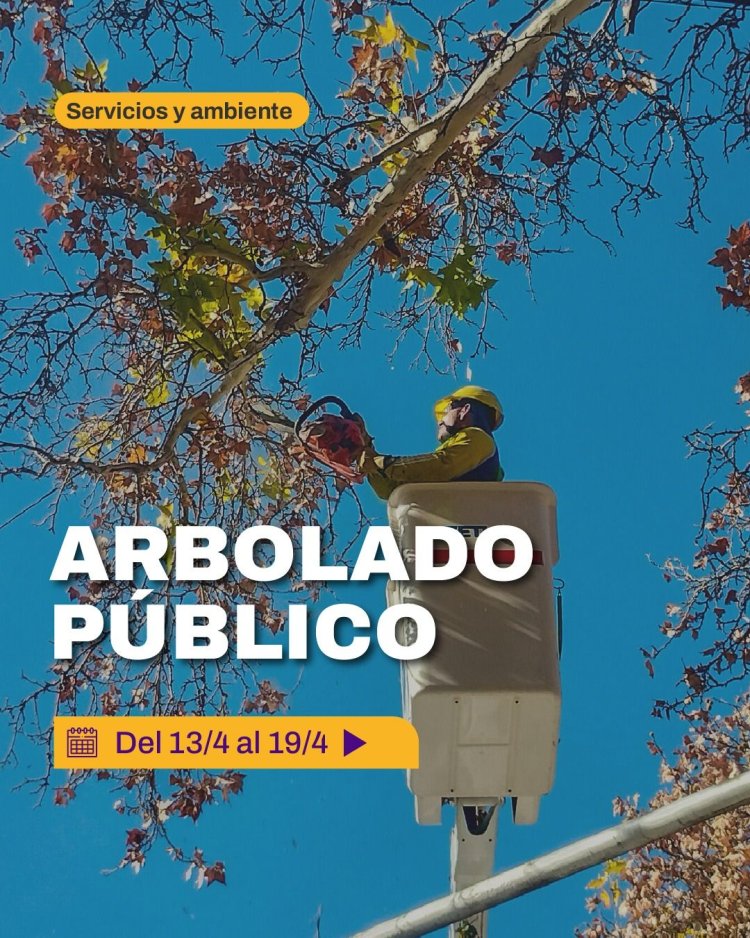 Arbolado público: tareas intensivas del 13 al 19 de abril en la Ciudad