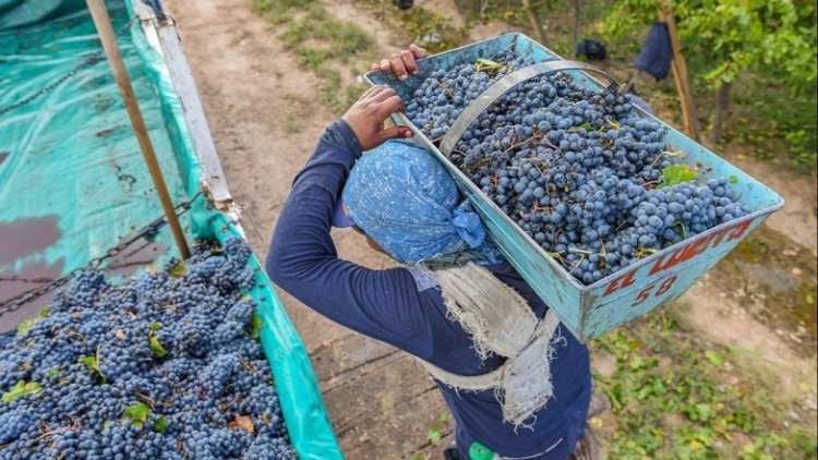 Fiduciaria San Juan otorgó $11.327 millones en créditos en dos años