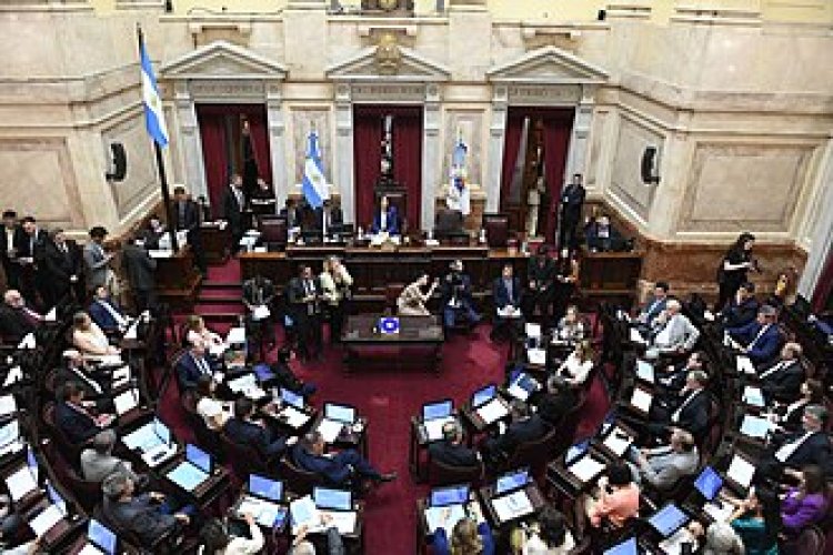 Senado: La Libertad Avanza frena el debate de las PASO y apuntala la agenda económica