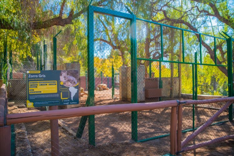 Con recursos propios Miodowsky dejó inaugurada el agua potable en el Faunístico