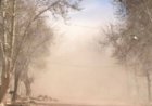 El viento zonda provocó cortes de luz y caída de árboles en distintos puntos de Pocito
