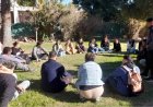 Terapia de grupo: contención para fortalecer procesos de recuperación