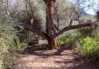 La Municipalidad de Jáchal participó de la presentación del proyecto ecoturístico “Parque Aventura Cauquenes”