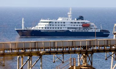 Tres muertos por hantavirus en un crucero que partió desde Usuahia: cómo se contagiaron