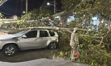 La Ciudad de San Juan despliega operativo de emergencia tras el intenso viento Zonda