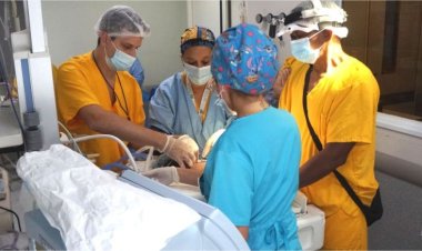 Cirugías del tamaño de una nuez: intervenir corazones y órganos en bebés prematuros