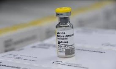 Fiebre amarilla: ante el brote detectado en Bolivia, realizan una vacunación focalizada en Salta