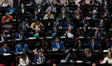 El oficialismo consiguió aprobar en Diputados la Ley Hojarasca