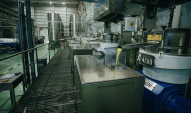 San Juan lidera la producción de aceite de oliva en Argentina