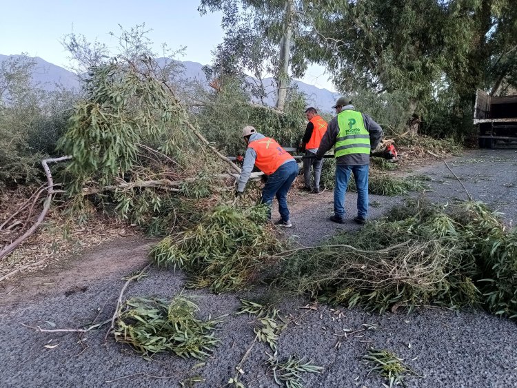 Se activó el Comité de Operaciones de Emergencia Departamental de Pocito, para evaluar y brindar solución a los daños ocasionados por el fuerte viento