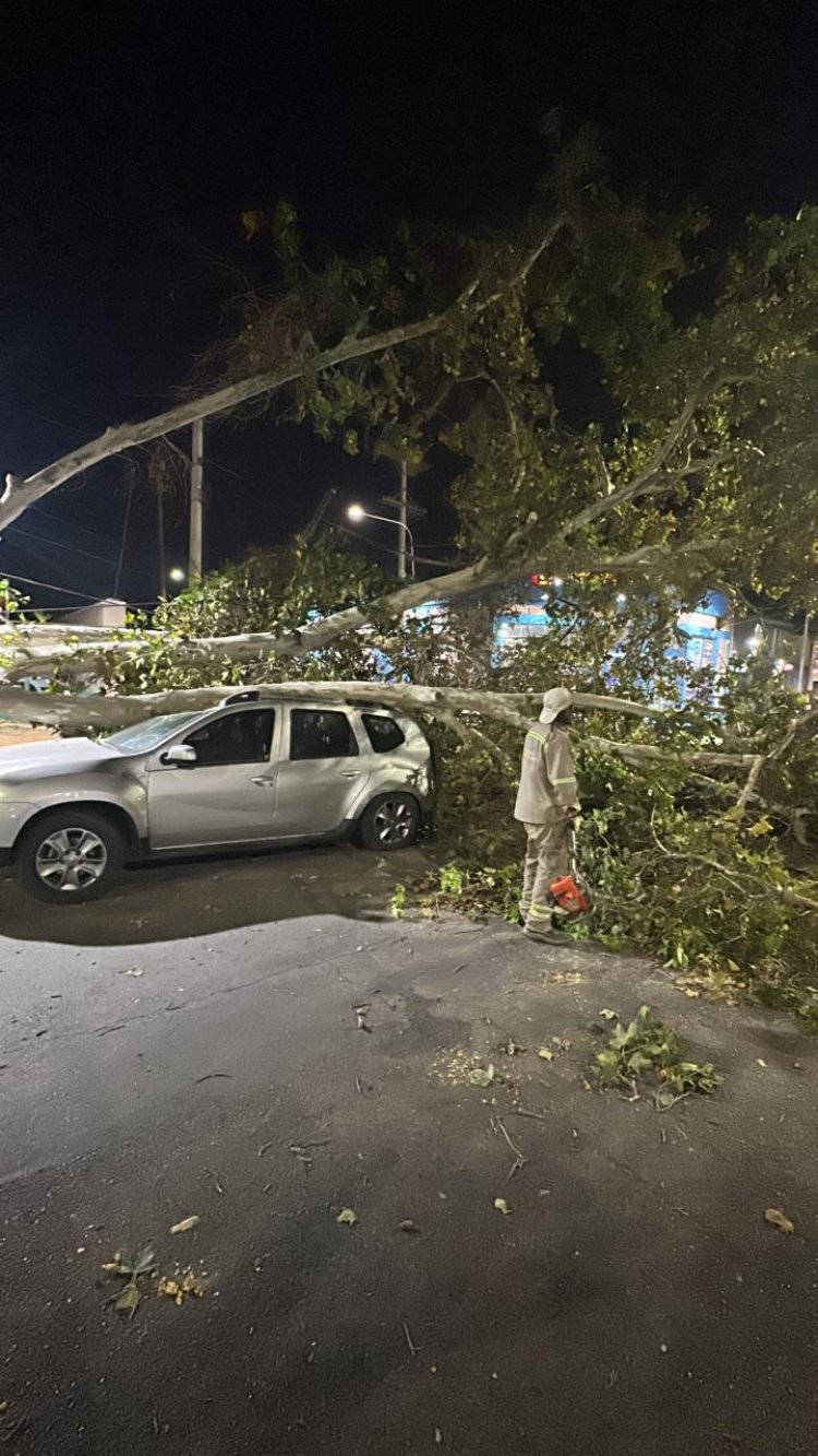 La Ciudad de San Juan despliega operativo de emergencia tras el intenso viento Zonda