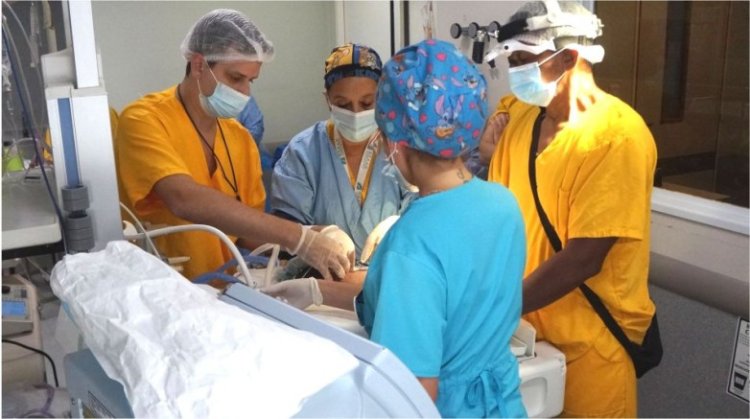 Cirugías del tamaño de una nuez: intervenir corazones y órganos en bebés prematuros