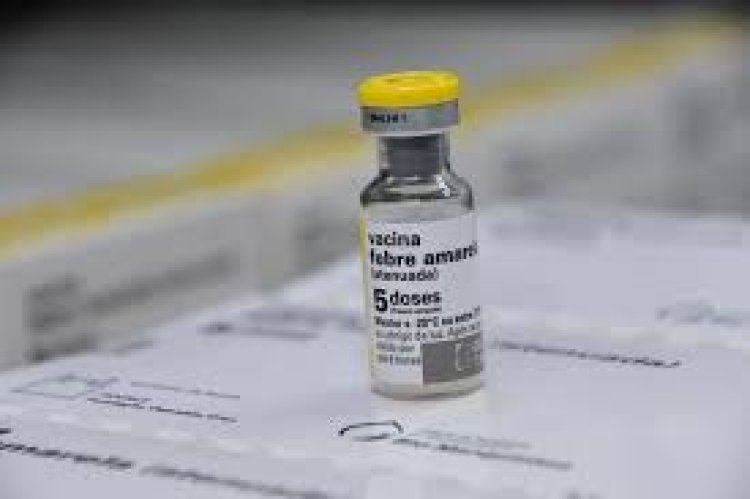 Fiebre amarilla: ante el brote detectado en Bolivia, realizan una vacunación focalizada en Salta