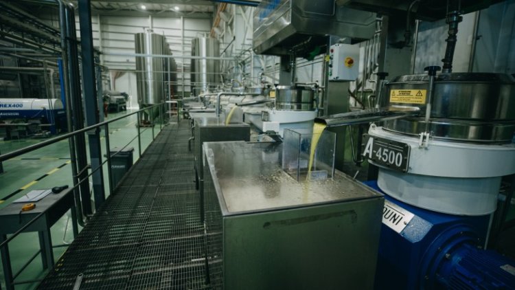 San Juan lidera la producción de aceite de oliva en Argentina