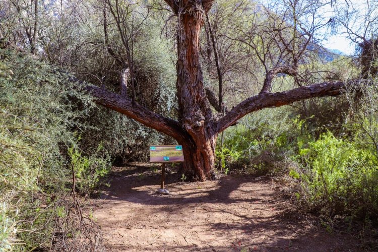 La Municipalidad de Jáchal participó de la presentación del proyecto ecoturístico “Parque Aventura Cauquenes”