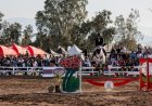 Milei aumentó el giro de transferencias no automáticas a las provincias: el detalle