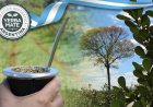 Argentina organiza el primer Mundial de la Yerba Mate