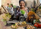 La diversidad en la matriz productiva caracteriza las raíces sanjuaninas