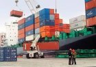 San Juan Hub Exportador: un evento para impulsar crecimiento y competitividad de empresas locales