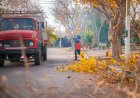 La poda en Rivadavia avanza para cuidar los árboles del departamento de manera organizada y segura