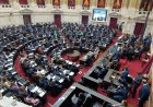 El Súper RIGI ya tiene media sanción