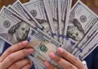 El dólar se mantiene en su nivel más alto en lo que va del año