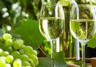 San Juan y Mendoza planifican estrategias para posicionar el varietal torrontés