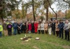 El Olivo de la Paz renovó el compromiso de diálogo y respeto mutuo