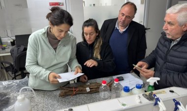 San Juan importó plantas de vid para diversificar la oferta vitícola