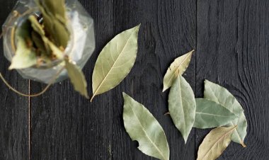 Por qué hay que poner hojas de laurel detrás del inodoro: para qué sirve