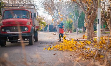 La poda en Rivadavia avanza para cuidar los árboles del departamento de manera organizada y segura