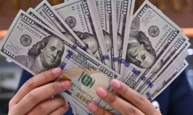 El dólar se mantiene en su nivel más alto en lo que va del año