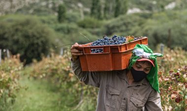 El Gobierno de San Juan refuerza los créditos para el sector agrícola en Punto Pyme