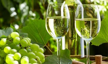 San Juan y Mendoza planifican estrategias para posicionar el varietal torrontés
