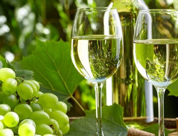 San Juan y Mendoza planifican estrategias para posicionar el varietal torrontés