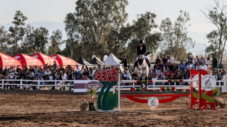 Milei aumentó el giro de transferencias no automáticas a las provincias: el detalle